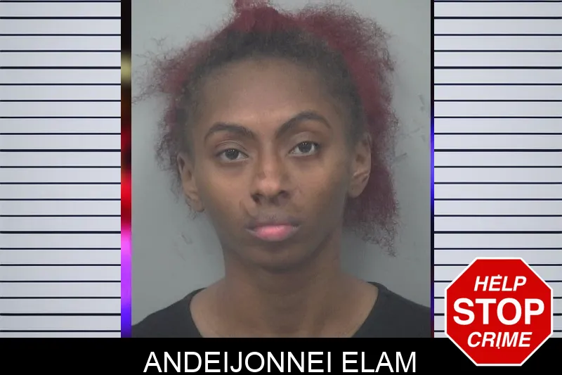 Andeijonnei Elam Mugshots