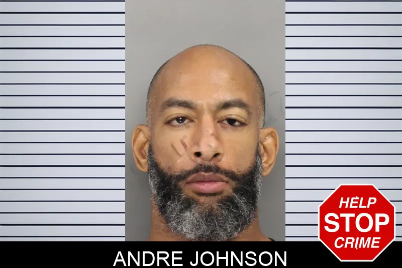 Andre Johnson mugshot
