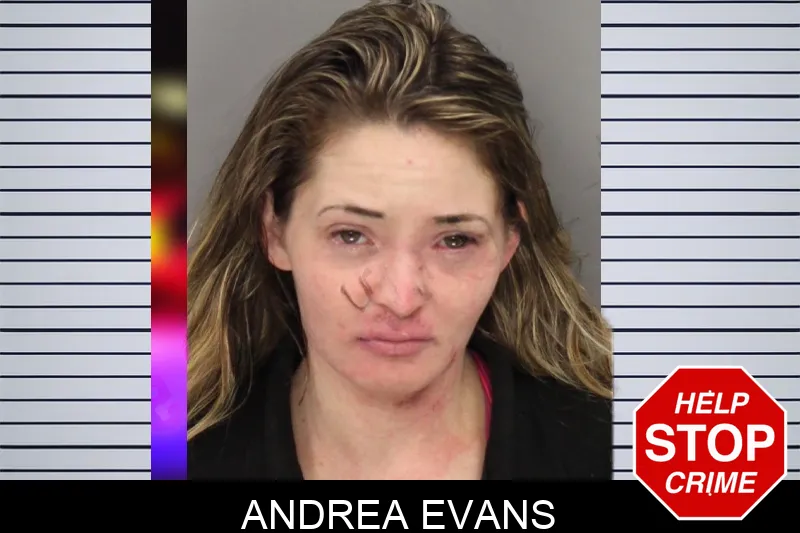 Andrea Evans mugshot