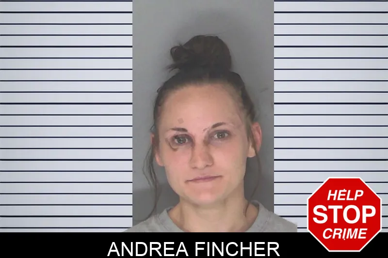 Andrea Fincher mugshot