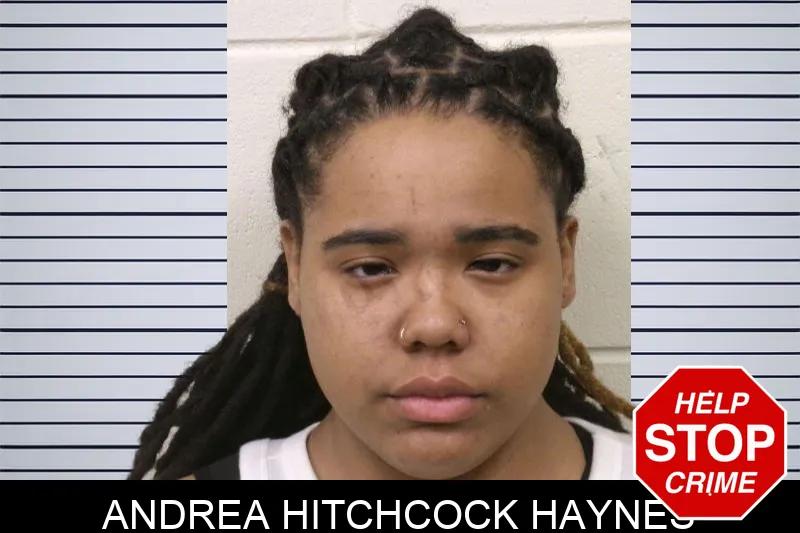 Andrea Hitchcock Haynes