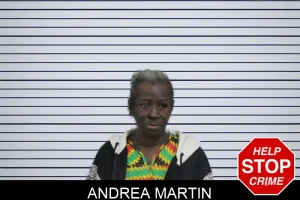 Andrea Martin mugshot
