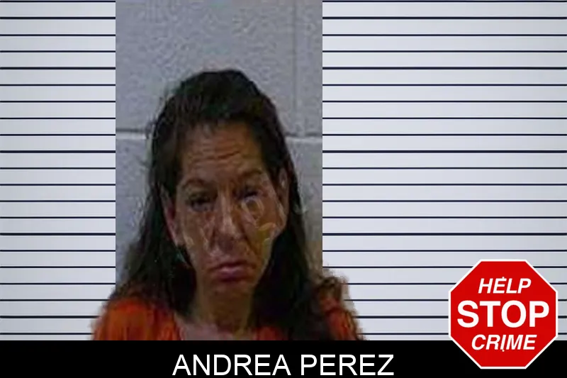 Andrea Perez Mugshots