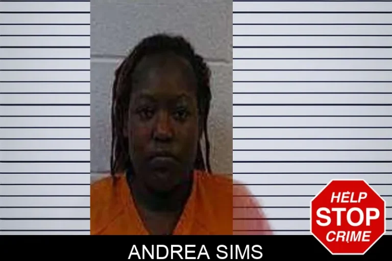 Andrea Sims mugshot – Polk County , Georgia Andrea Sims