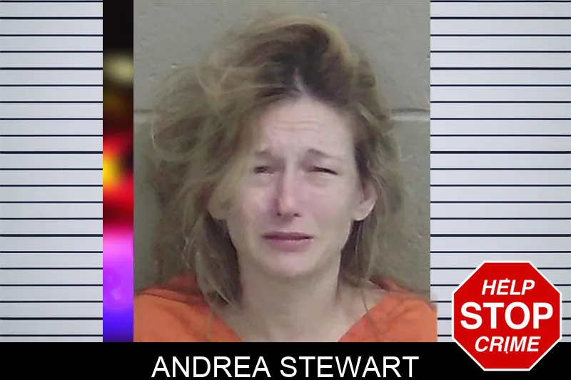 Andrea Stewart Mugshots