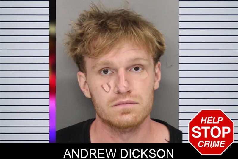 Andrew Dickson mugshot