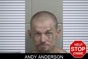 Andy Anderson mugshot