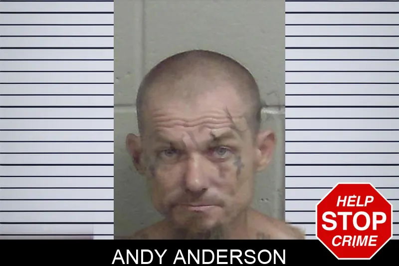 Andy Anderson Mugshots