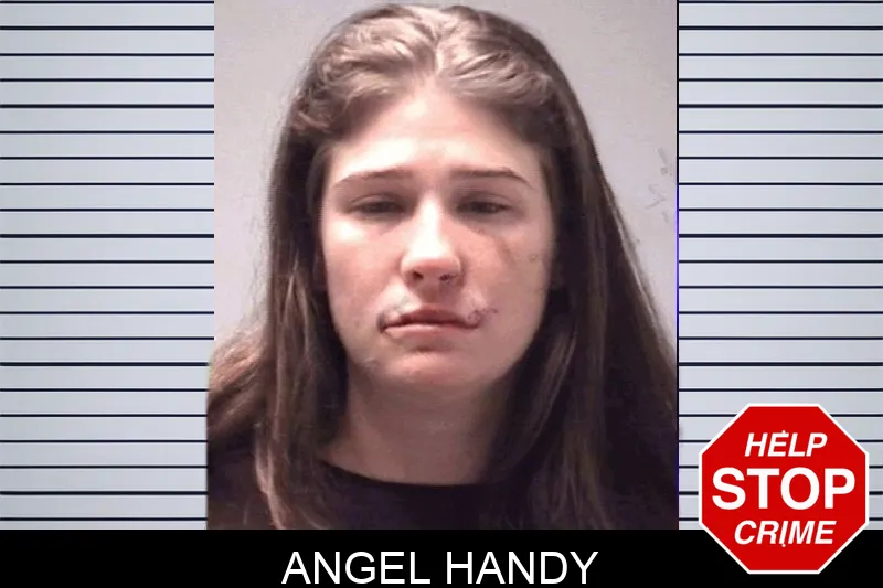Angel Handy mugshot
