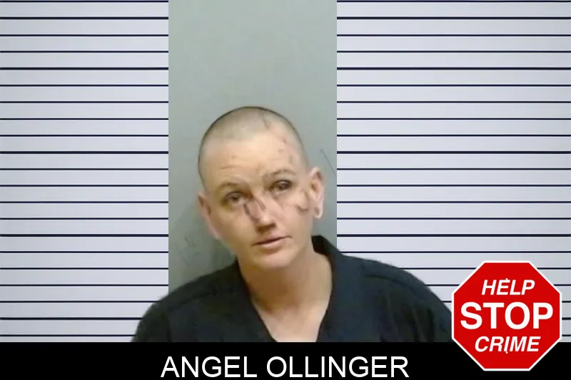 Angel Ollinger mugshot