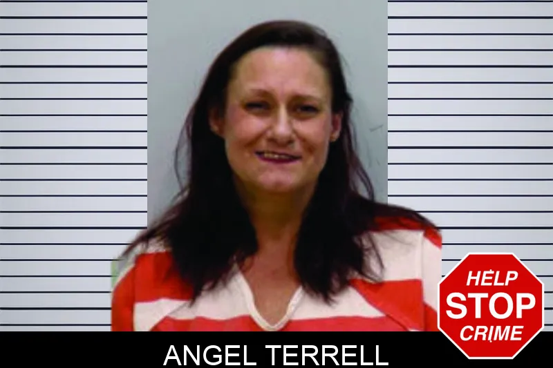 Angel Terrell mugshot – Bartow County , Georgia Angel Terrell mugshot