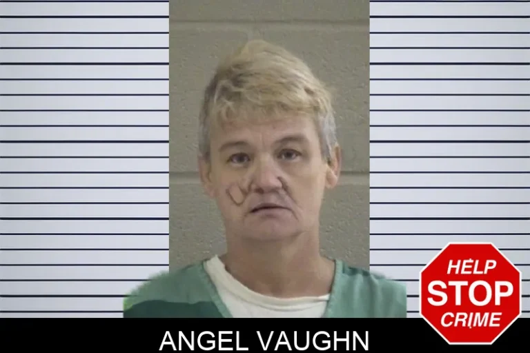 Angel Vaughn mugshot – Whitfield County , Georgia Angel Vaughn