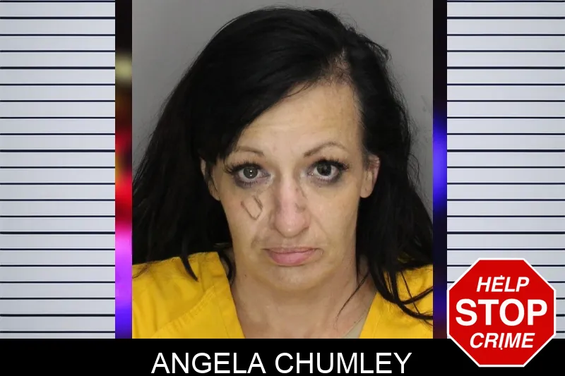 Angela Chumley mugshot – Cobb County , Georgia Angela Chumley mugshot
