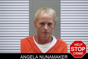 Angela Nunamaker mugshot