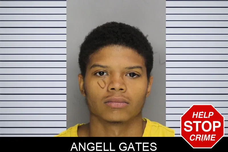 Angell Gates mugshot – Cobb County , Georgia Angell Gates mugshot
