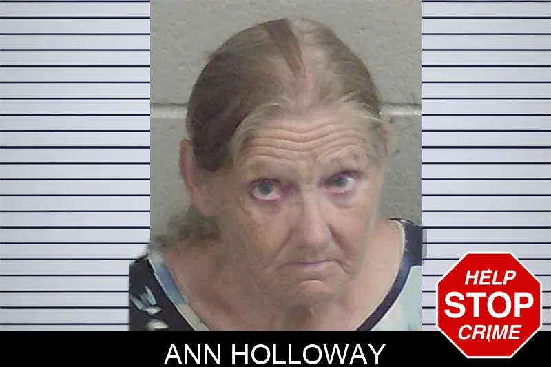 Ann Holloway Mugshots