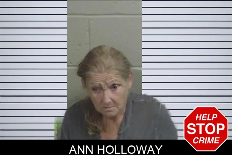 Ann Holloway