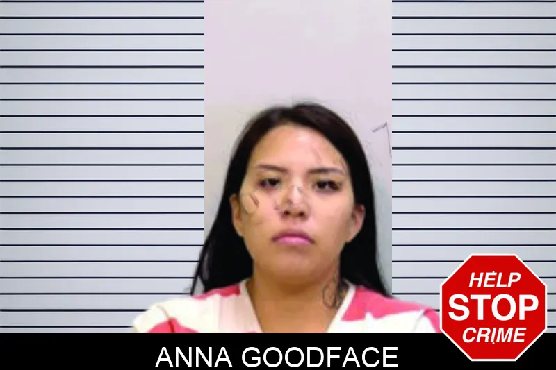 Anna Goodface mugshot