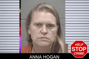 Anna Hogan mugshot