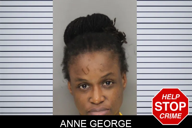 Anne George mugshot – Cobb County , Georgia Anne George mugshot
