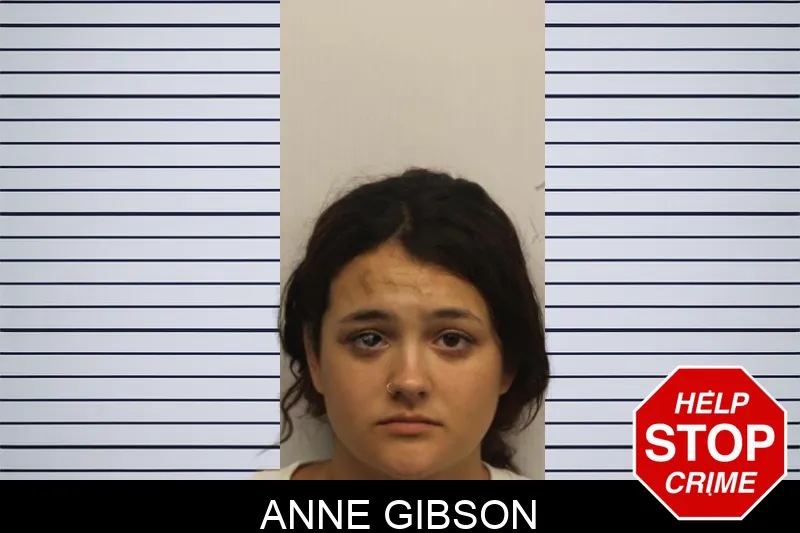 Anne Gibson mugshot – Chatham County , Georgia Anne Gibson mugshot