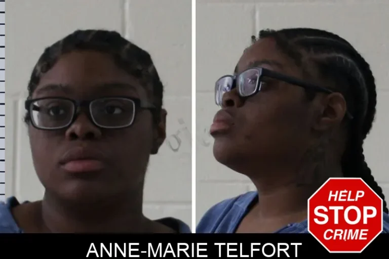 Anne-Marie Telfort mugshot – Houston County , Georgia Anne-Marie Telfort