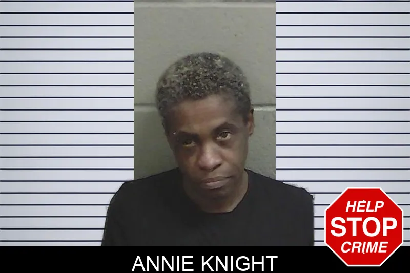 Annie Knight Mugshots