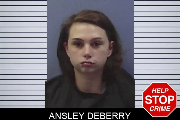 Ansley Deberry mugshot – Chattooga County , Georgia Ansley Deberry