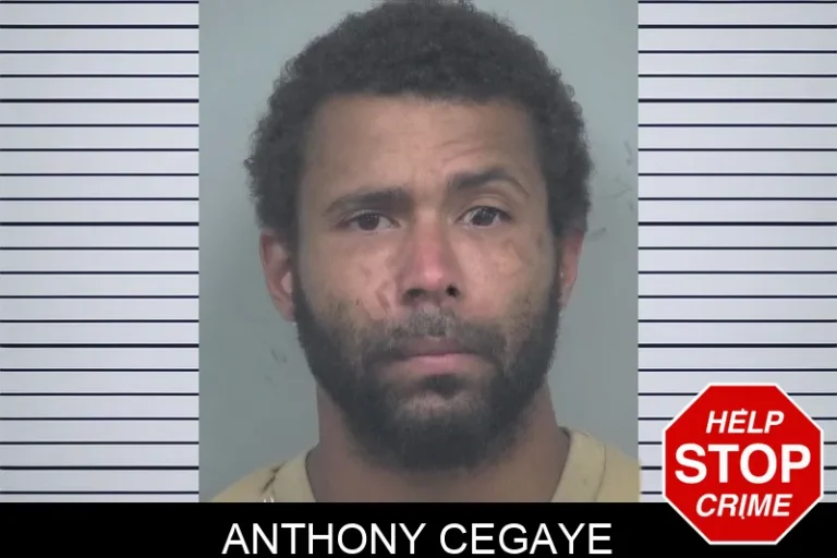Anthony Cegaye