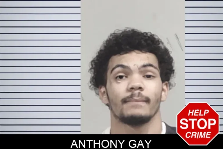 Anthony Gay