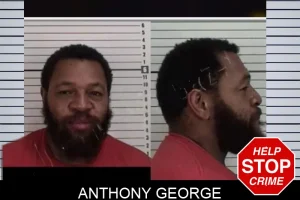 Anthony George mugshot