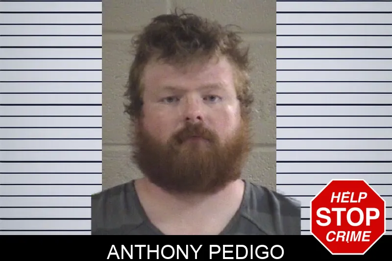Anthony Pedigo mugshot