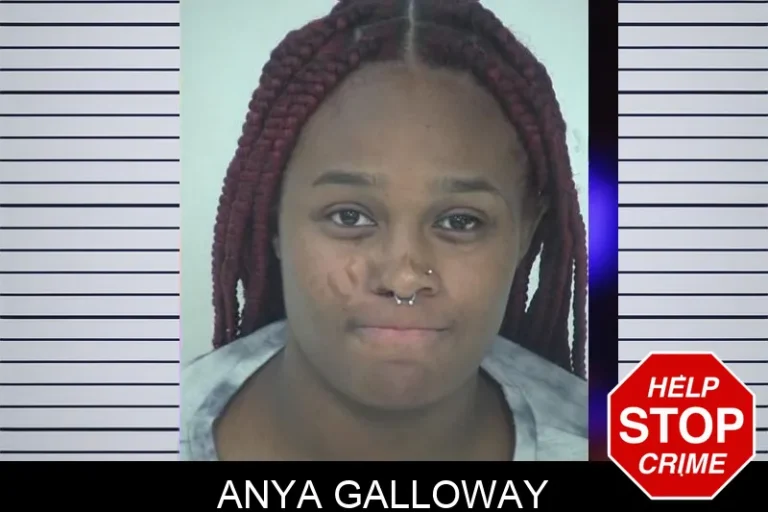 Anya Galloway mugshot – Fayette County , Georgia Anya Galloway
