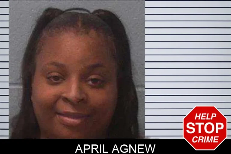 April Agnew mugshot – Franklin County , Georgia April Agnew