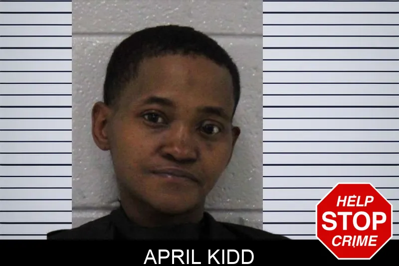 April Kidd mugshot – Carroll County , Georgia April Kidd mugshot