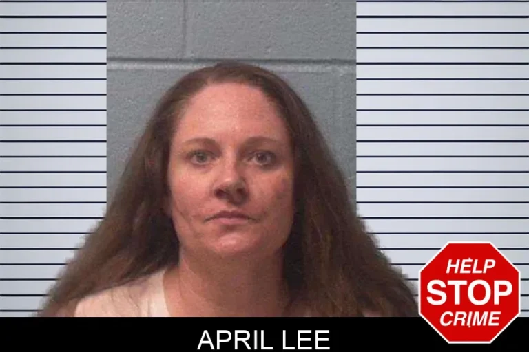 April Lee mugshot – Franklin County , Georgia April Lee