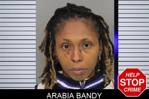 Arabia Bandy mugshot