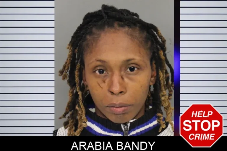 Arabia Bandy