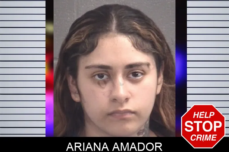 Ariana Amador Mugshots