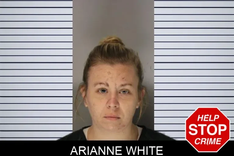 Arianne White mugshot – Hall County , Georgia Arianne White