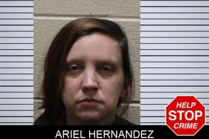 Ariel Hernandez mugshot