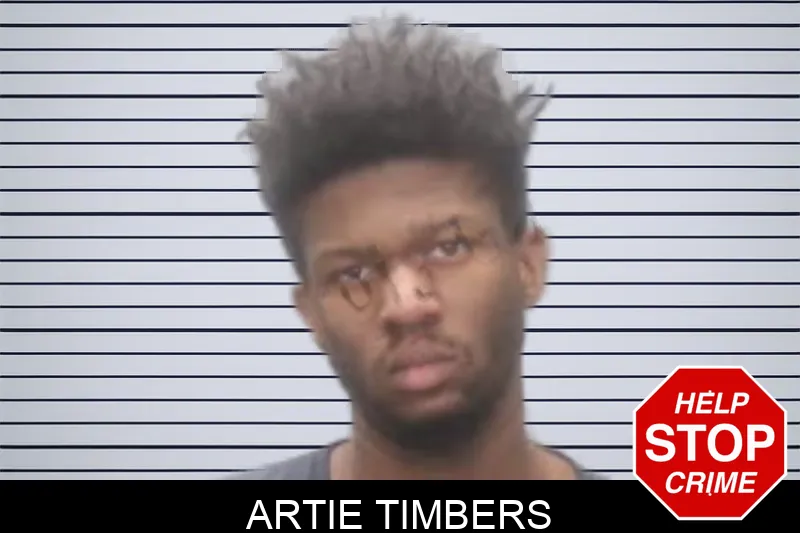 Artie Timbers Mugshots