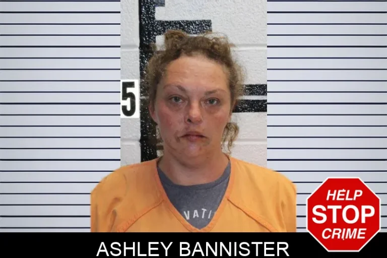 Ashley Bannister mugshot – Murray County , Georgia Ashley Bannister