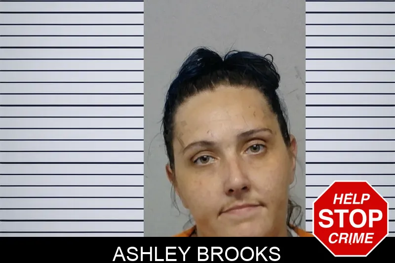 Ashley Brooks mugshot – Bibb County , Georgia Ashley Brooks mugshot