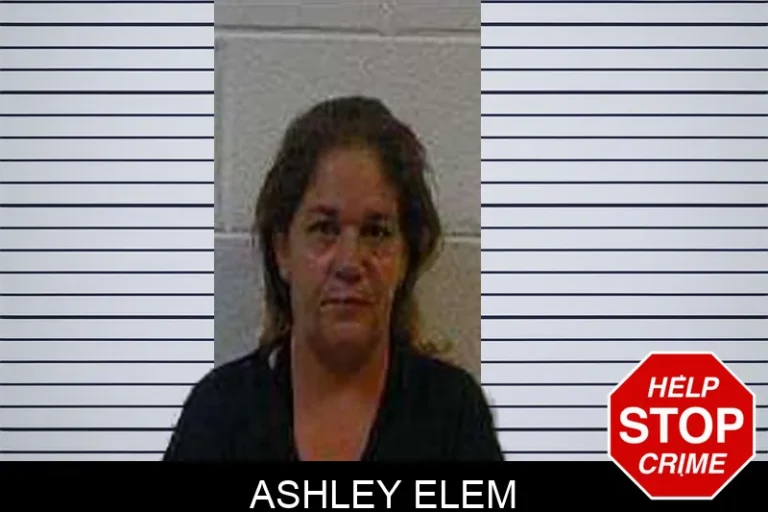 Ashley Elem