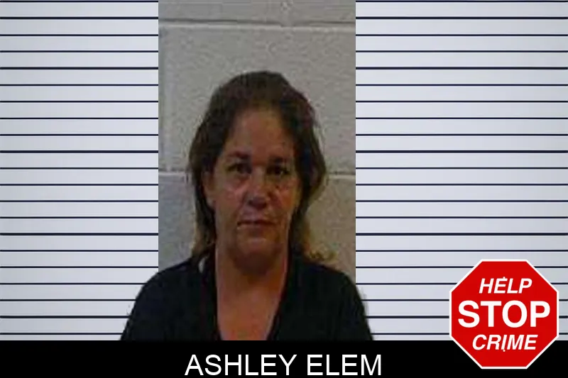 Ashley Elem