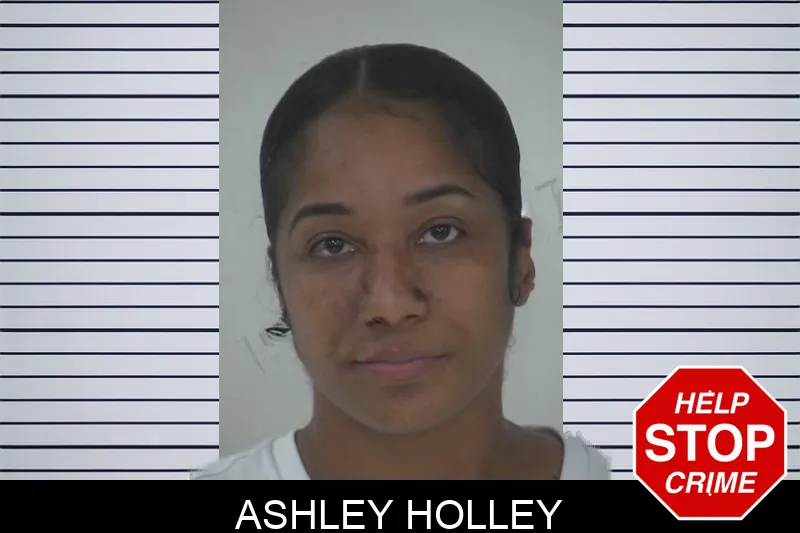 Ashley Holley Mugshots