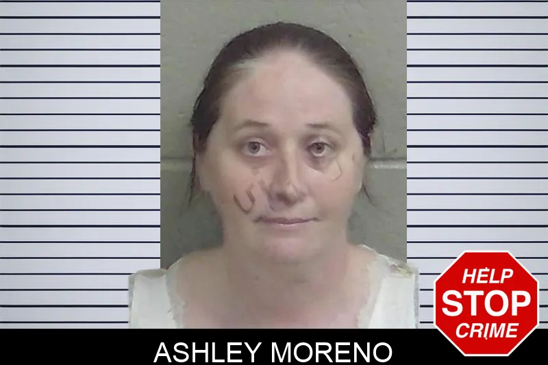 Ashley Moreno Mugshots