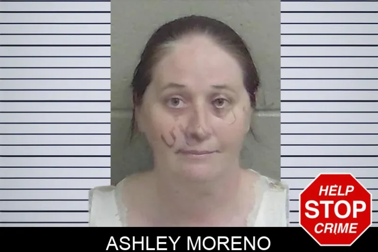 Ashley Moreno mugshot – Wayne County , Georgia Ashley Moreno