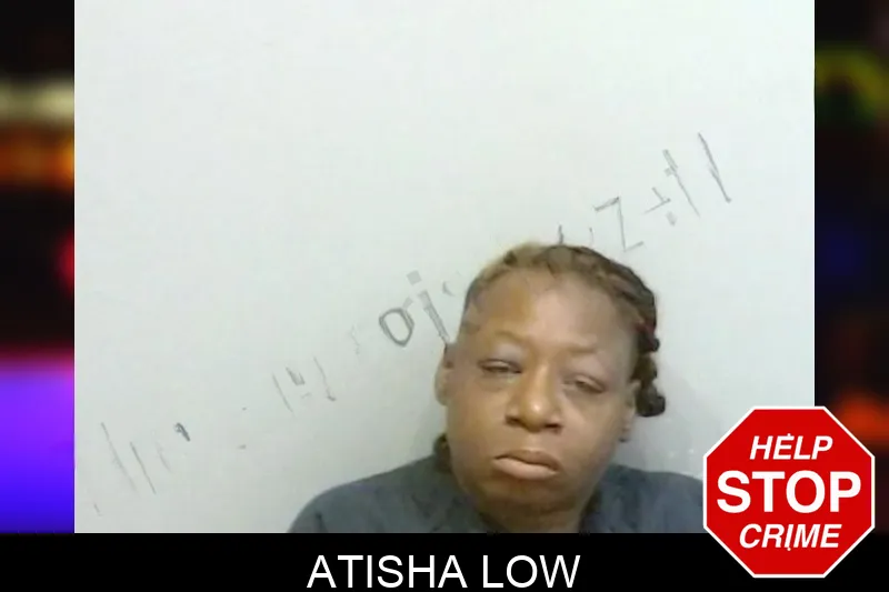 Atisha Low mugshot